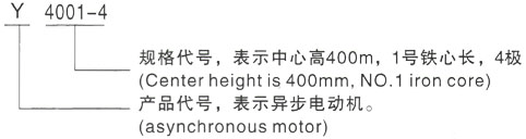 西安泰富西玛Y系列(H355-1000)高压YJTGKK4505-6三相异步电机型号说明