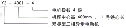 YR系列(H355-1000)高压YJTGKK4505-6三相异步电机西安西玛电机型号说明